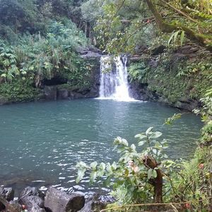 Meet your Posher, Jas